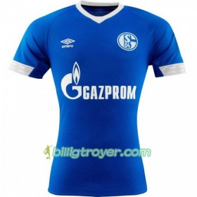 Billige Fotballdrakter FC Schalke 04 Hjemmedraktsett 2018/19 Kortermet